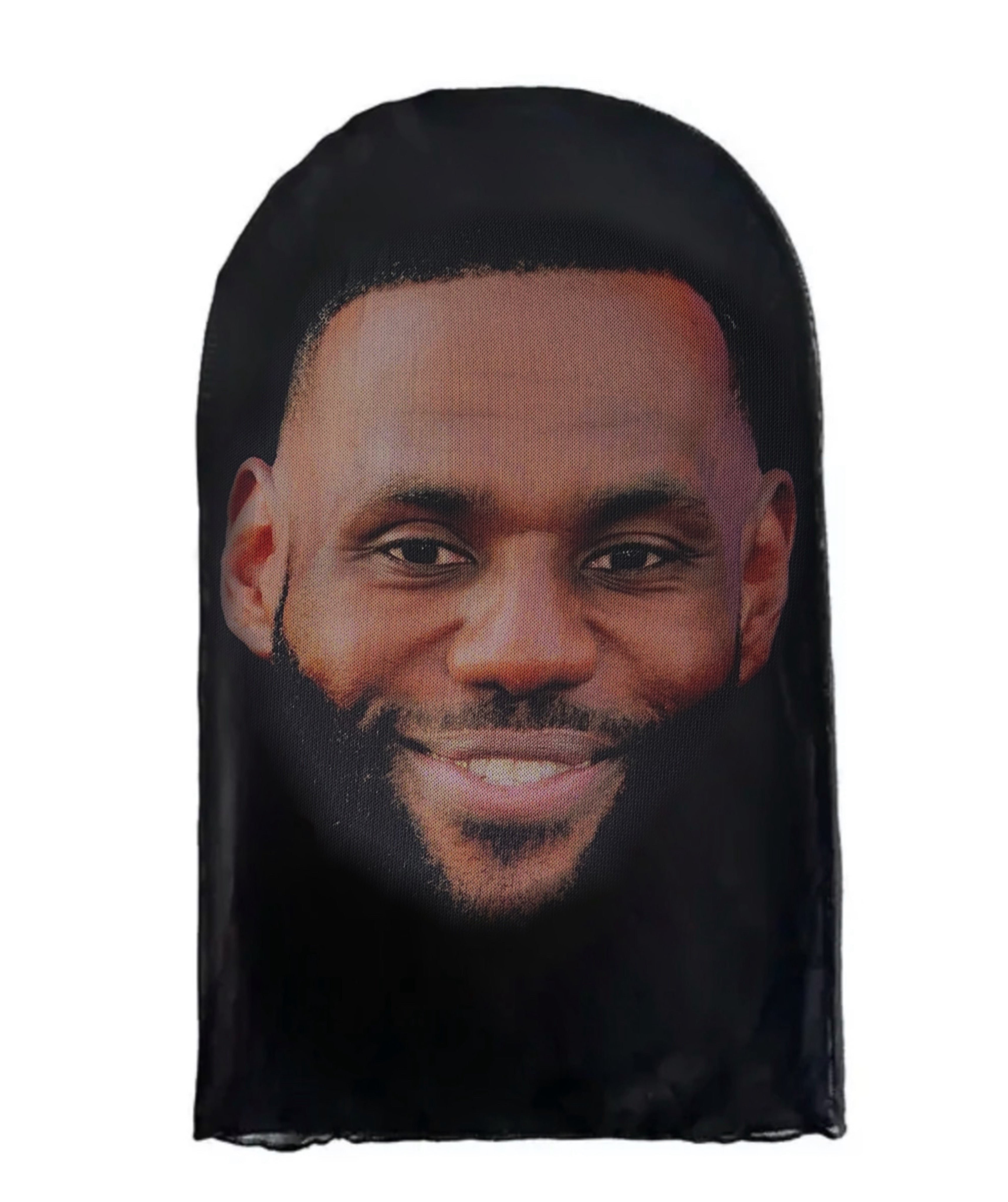 LeBron James Skin
