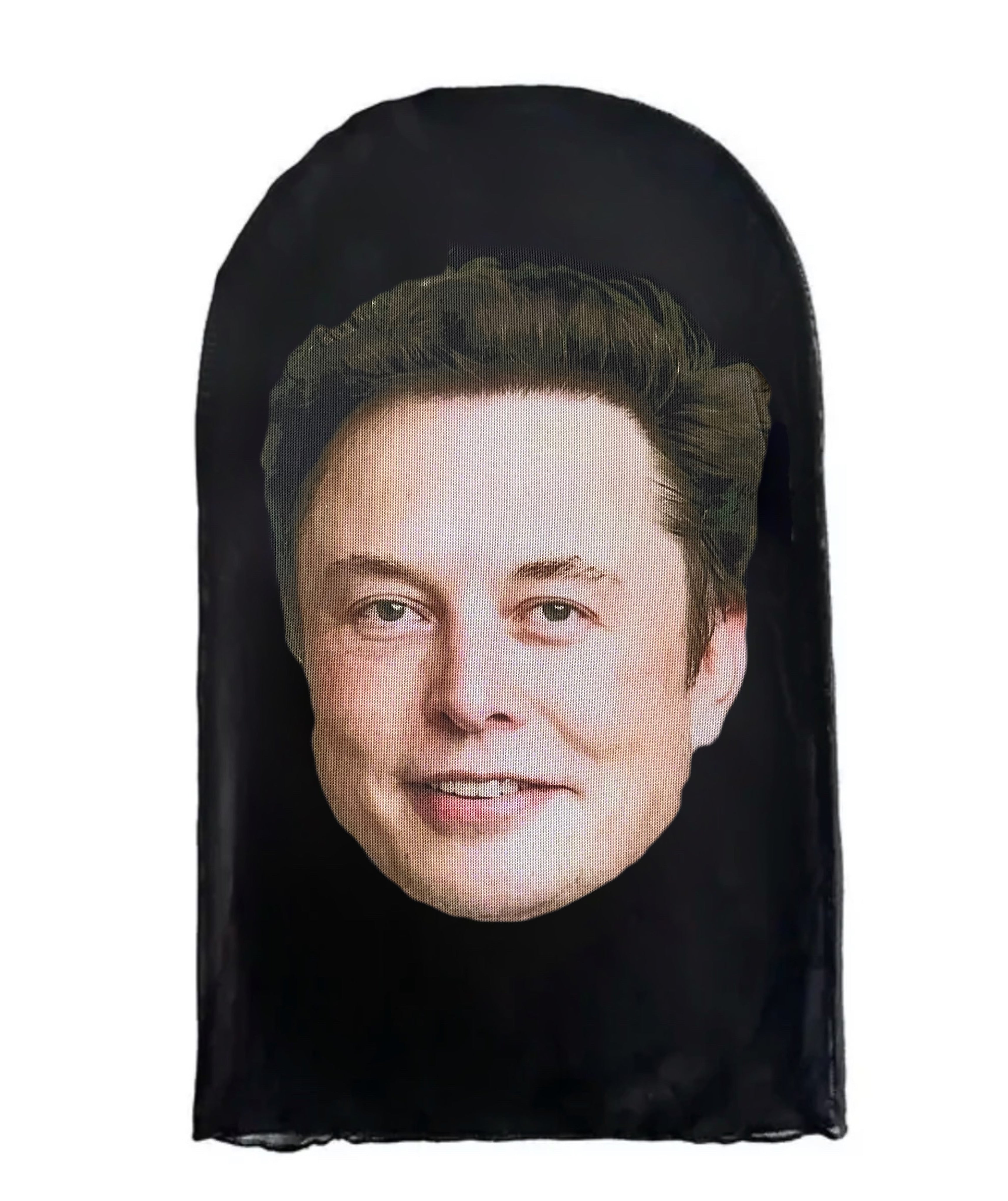 Elon Musk Skin